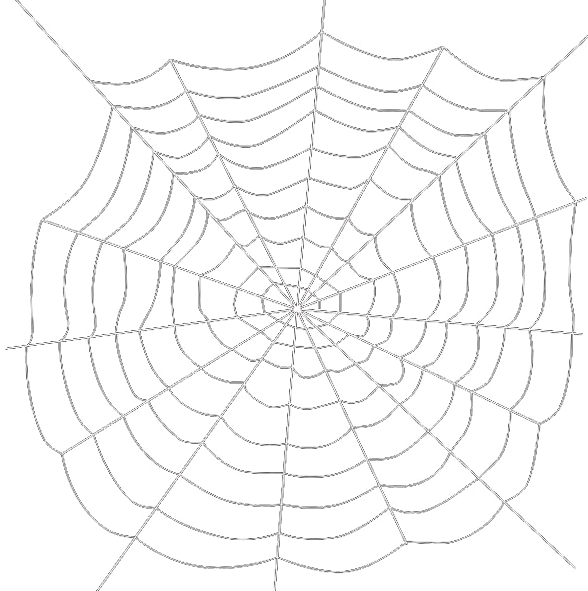 Spider Web Logo No Background