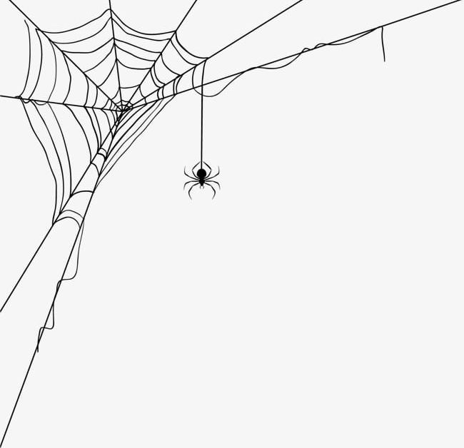 Spider Web Png