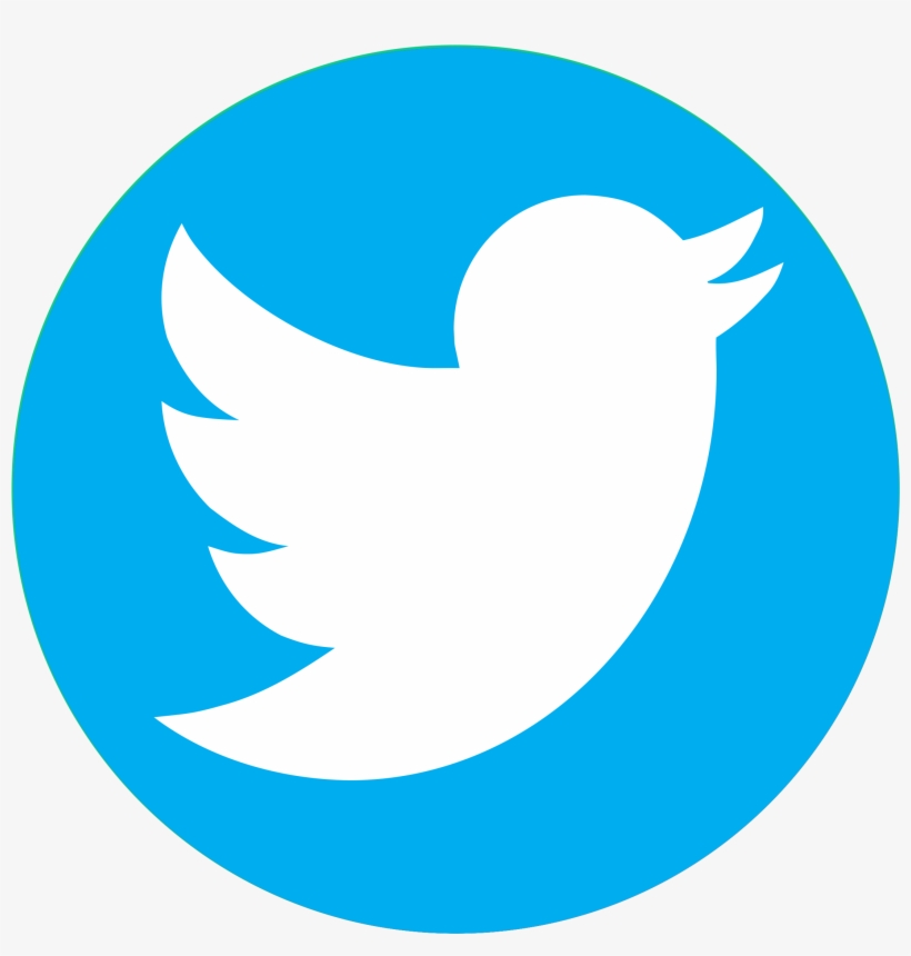 Twitter Logo Png Transparent Background 2019